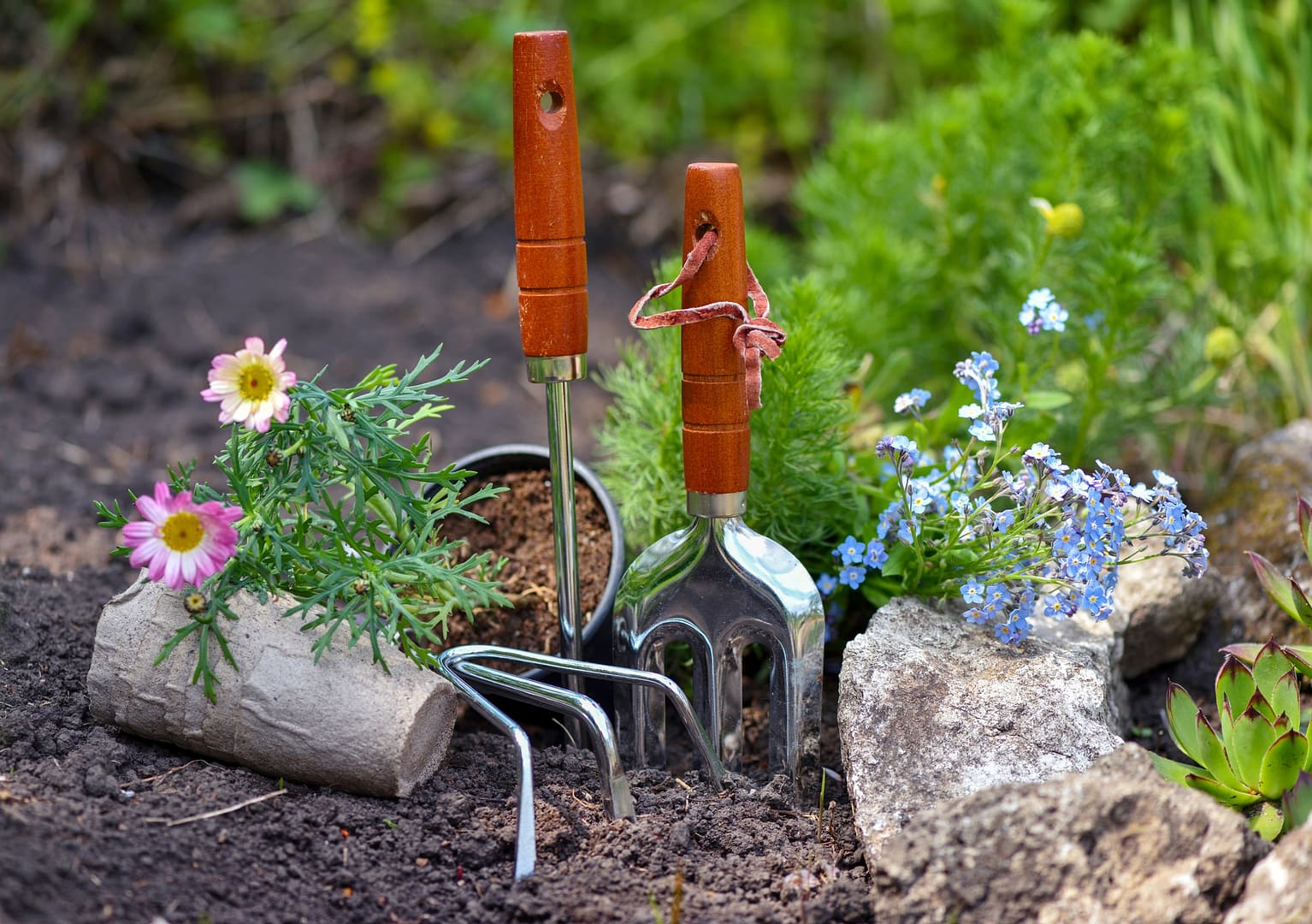 Gardening tools and spring flowers in the garden. Gardening concept.