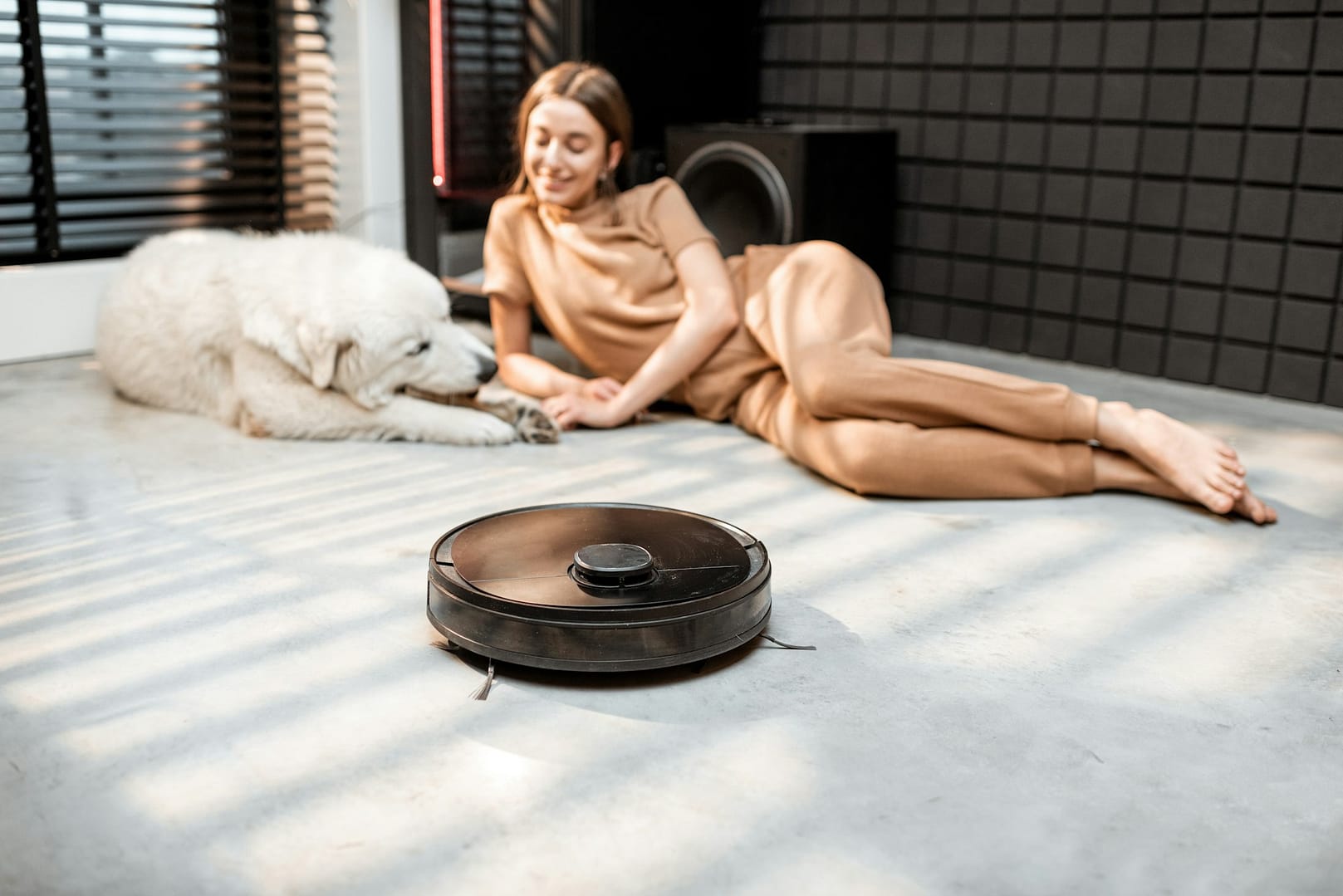 Robot vacuum cleaner cleans at home