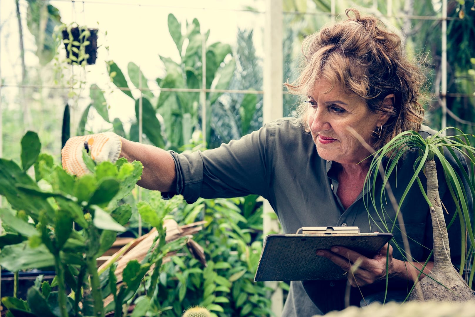 Woman gardening