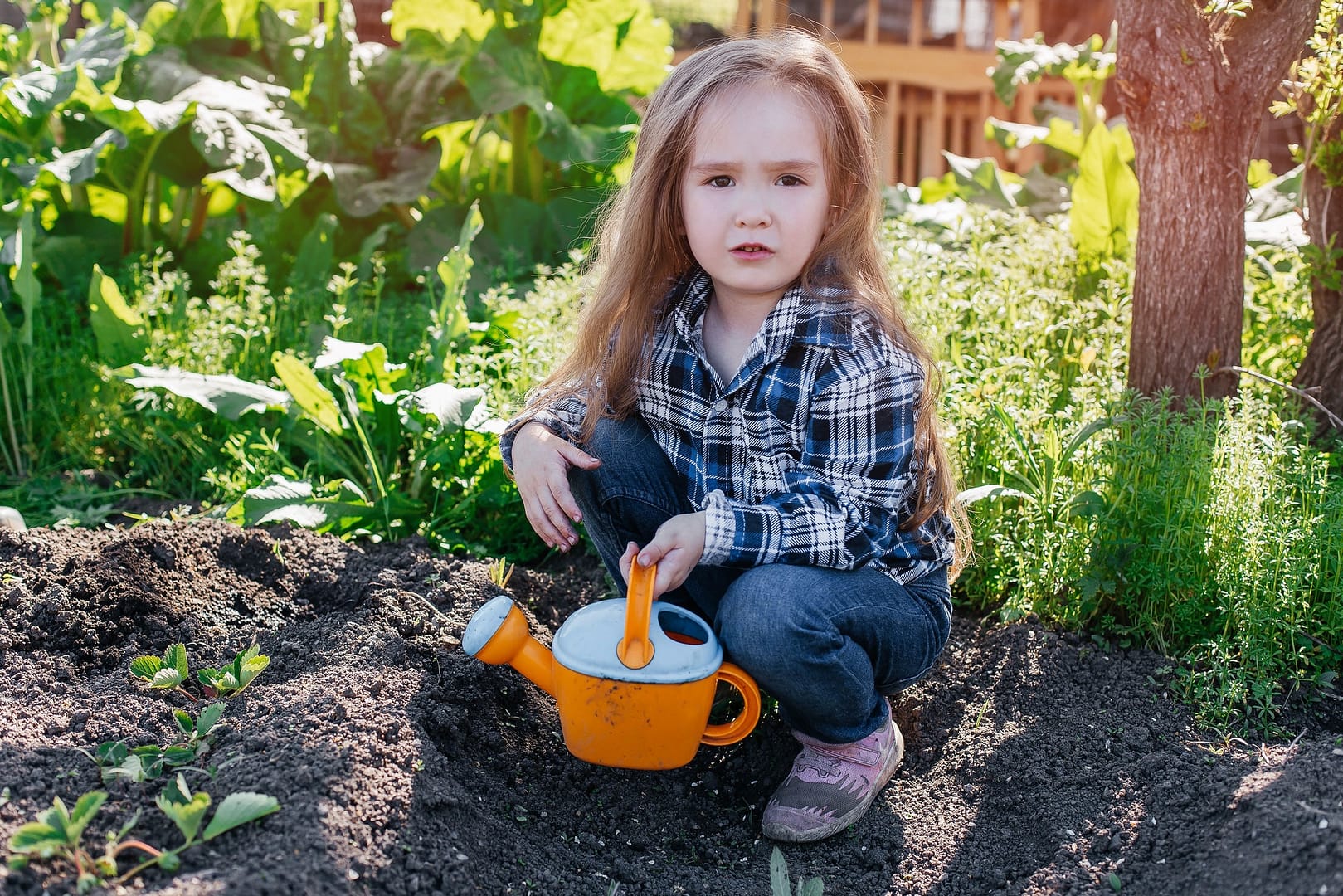 little girl watering strawberry seedlings. The concept of nature conservation and agriculture.