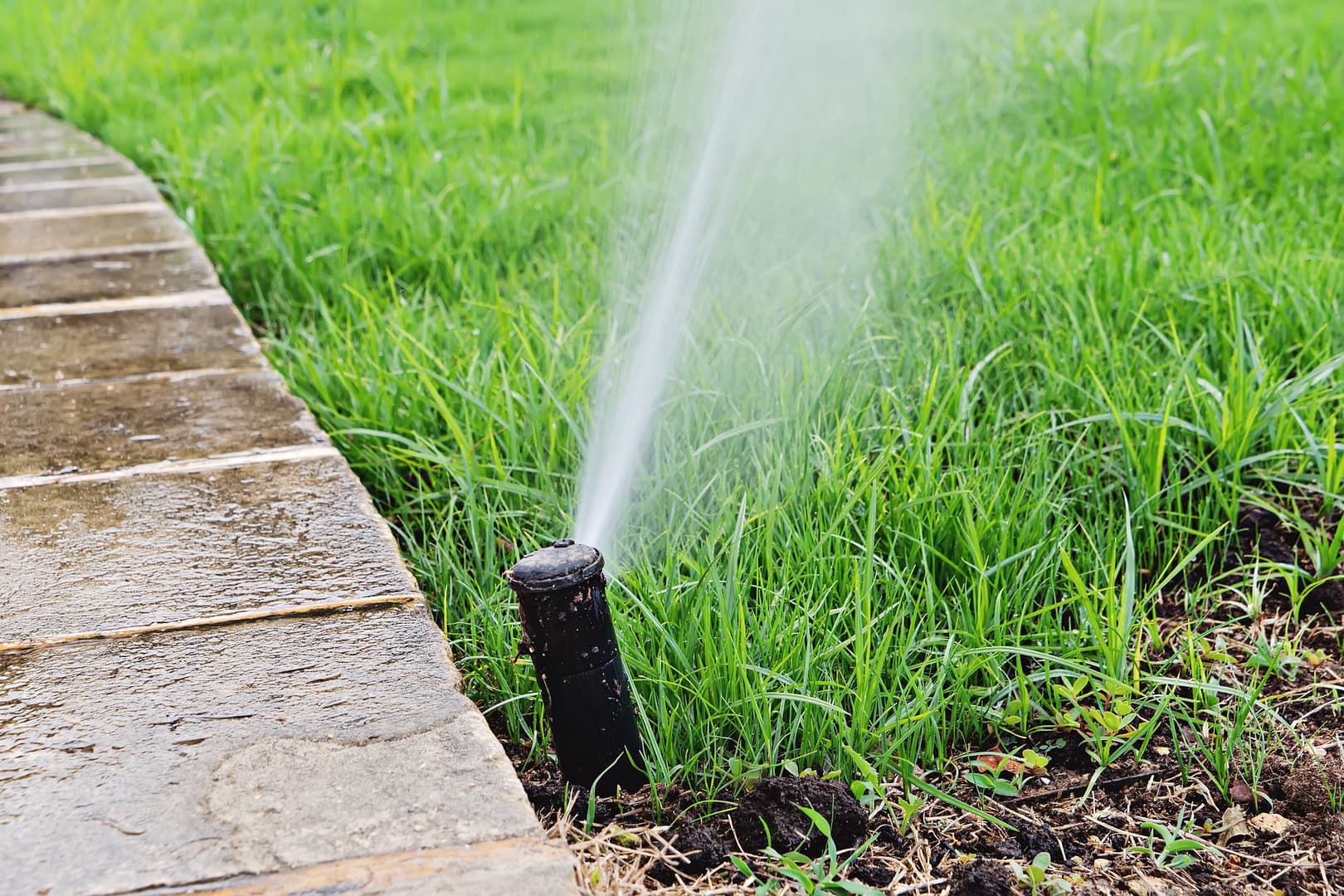 Automatic lawn sprinkler watering. Sprinkler with automatic system.irrigation system watering lawn