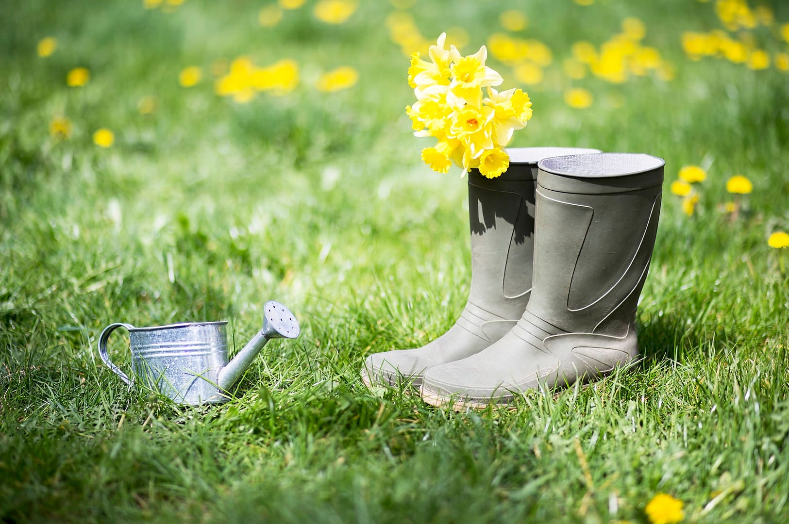 Summer gardening concept