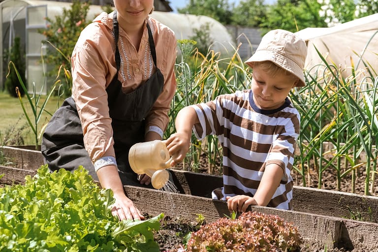 The Dallas Gardener's Handbook