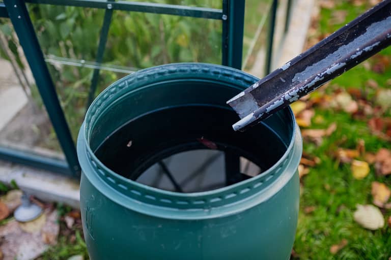 Rainwater Harvesting in Dallas: A Homeowner's Guide