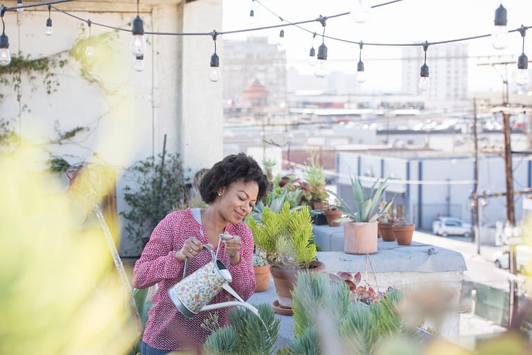 Dallas Rooftop Gardening